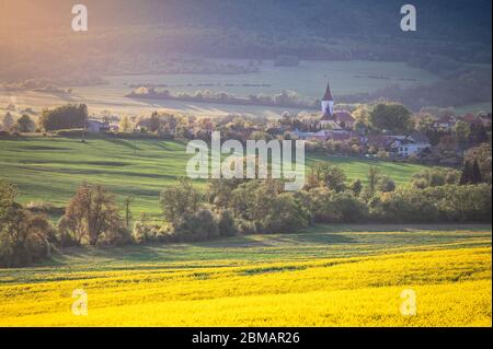 Village et paysage agricole au printemps mai temps. Paysage ensoleillé, église, arbres, et champs verts et jaunes Banque D'Images