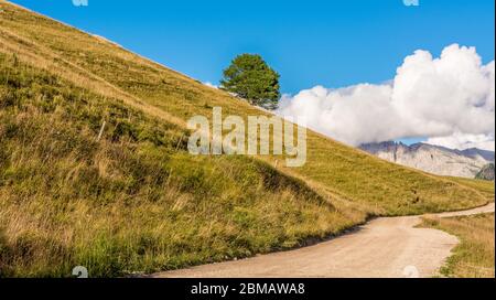 Le col de Lavazè (Passo Lavazè) dans le Tyrol du Sud, province de Bolzano : est l'un des paysages les plus fascinants du Val di Fiemme. Trentin-Haut-Adige. Dolomit Banque D'Images