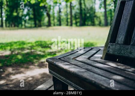 Banc en bois près d'un grand arbre. Banc dans le parc, un jour d'été. Banc en bois sur l'herbe verte Banque D'Images