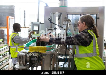 Hommes caucasiens et Afro-américains travaillant dans une brasserie Banque D'Images