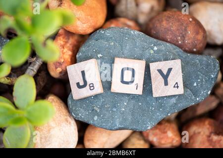 Joie en lettres majuscules Banque D'Images