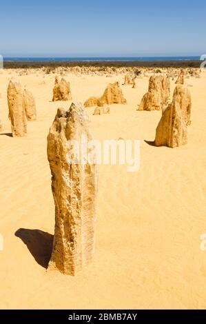 Formations de calcaire aux Pinnacles dans le parc national de Nambung, Australie occidentale Banque D'Images