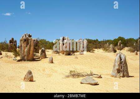 Formations de calcaire aux Pinnacles dans le parc national de Nambung, Australie occidentale Banque D'Images