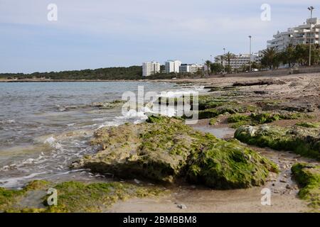 06 mai 2020, Espagne, son Servera-Sant Llorenc des Cardessar: Vue sur la plage vide de Cala Millor. Photo: Clara Margais/dpa Banque D'Images