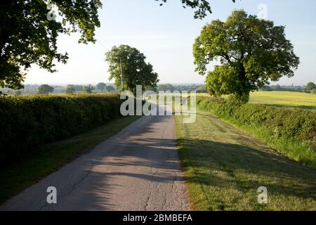 Une route de campagne au printemps, Warwickshire, Angleterre, Royaume-Uni Banque D'Images