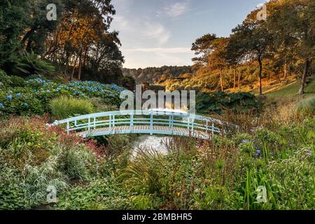 Trebah Garden ; Bridge ; Cornwall ; Royaume-Uni Banque D'Images