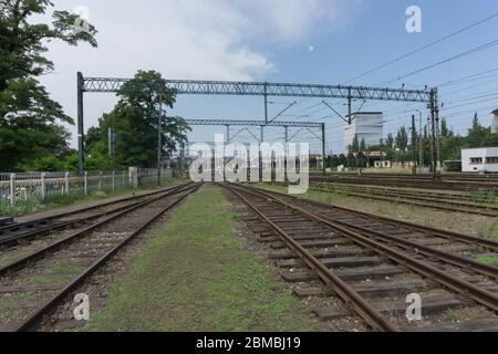 un dernier parc et des trains abandonnés sur le paysage vert Banque D'Images
