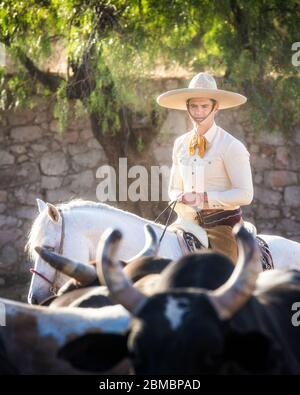 Un troupeau de charro ou de cow-boys se renflent sur l'Hacienda la Cantera près de Lagos de Moreno, Jalisco, Mexique. Banque D'Images