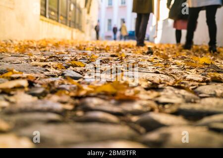 gros plan de la rue pavés avec des feuilles d'automne Banque D'Images