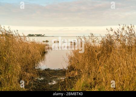 Plage du village d'Altja dans le parc national de Lahemaa Banque D'Images