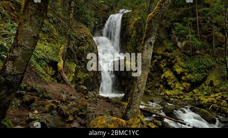 Vue panoramique de la haute Bosumarne chute le long du sentier accidenté qui traverse une forêt pittoresque et mène à la basse et haute Bosumarne FAL Banque D'Images