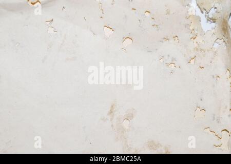 Papier avalé avec de l'argentse. Traces de silverfish naufragés sur des enveloppes de vinyle. Lepisma Banque D'Images