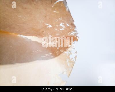 Papier avalé avec de l'argentse. Traces de silverfish naufragés sur des enveloppes de vinyle. Lepisma Banque D'Images