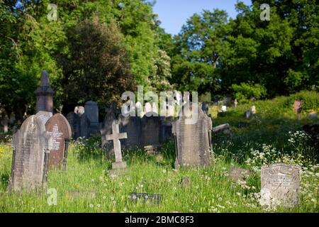 West Norwood, Royaume-Uni. 8 mai 2020. Cimetière de West Norwood à l'occasion du 75e anniversaire de la Ve Day, dans le sud de Londres, en Angleterre. Le cimetière de West Norwood est un cimetière rural de 40 hectares situé à West Norwood, à Londres, en Angleterre. Il était également connu sous le nom de cimetière métropolitain du Sud. Le cimetière contient 52 tombes de guerre du Commonwealth de la Seconde Guerre mondiale et 136 de la première Guerre mondiale (photo de Sam Mellish / Alamy Live News) Banque D'Images