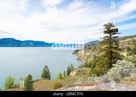 Vue depuis le dessus du lac Okanagan et des montagnes au printemps Banque D'Images