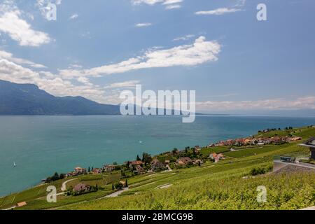 Vue panoramique sur le lac de Genève. Maisons de campagne entourées de vignobles verts. Région près du Mont Pelerin - montagne du plateau suisse, overl Banque D'Images