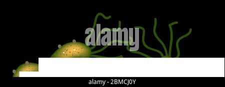 Helicobacter pylori. Helicobacter pylori de l'infection. Infographies. Illustration vectorielle Illustration de Vecteur