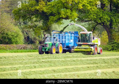 Agriculteur récoltant de l'herbe pour l'ensilage dans les terres agricoles de campagne du Cheshire, conduisant un tracteur John Deere vert et une moissonneuse Claas Jaguar 840 Banque D'Images