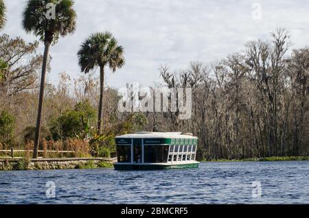 Une sortie en bateau à fond de verre sur la rivière Silver au parc national de Silver Springs en Floride Banque D'Images