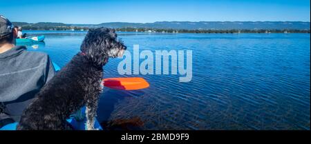 Panorama avec un adolescent et un chien kayak sur un lac ensoleillé paisible, de meilleurs amis, isolement calme et concept de paix Banque D'Images