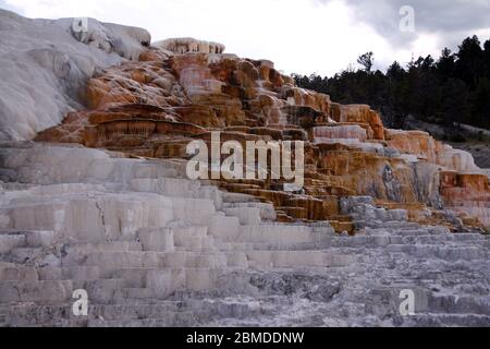 Mammoth Hot Springs dans le Parc National de Yellowstone Banque D'Images