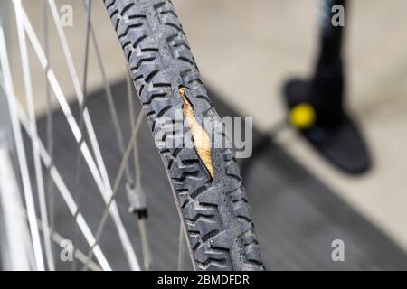 De pneu de vélo usé avec cordon visible à travers la bande de roulement en caoutchouc fendue. Banque D'Images