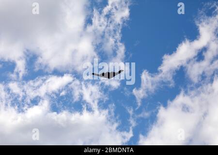 St. Louis, Missouri / Etats-Unis - 8 mai 2020: B-2 Bombardier vole bien que le ciel bleu au-dessus de St. Louis pour saluer les travailleurs essentiels. Le parcours de survol a commencé à Camdenton, puis à Cape Girardeau, à St. Louis, en Colombie, à Jefferson City, et enfin à Springfield. Banque D'Images