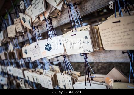 Sanctuaire Meji-jingu à Tokyo, Japon Banque D'Images