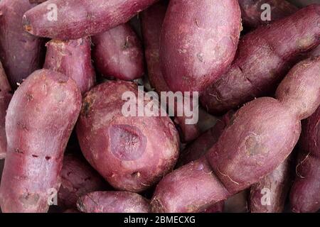 Vue de dessus. Les patates douces violées bouillies étaient empilées. Banque D'Images