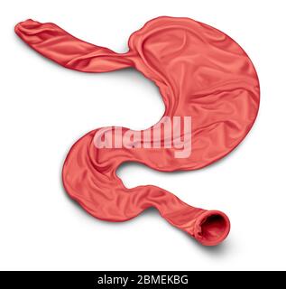 Perte d'appétit et restriction calorique concept comme un estomac humain formé comme un ballon de frunk comme un régime à jeun ou un symbole de régime pour l'anorexie. Banque D'Images