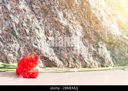 une des œillets rouges se trouve sur une dalle de granit. Banque D'Images