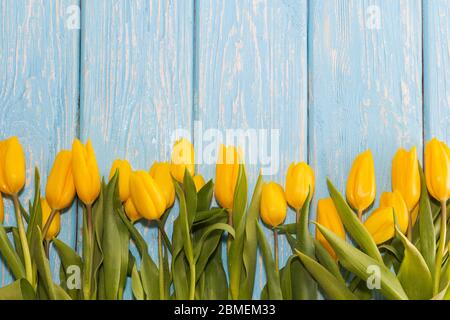 concept de fête des mères. tulipes fleuris sur fond bleu pastel en bois Banque D'Images