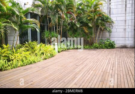 Parquet et plantes dans la cour. Banque D'Images