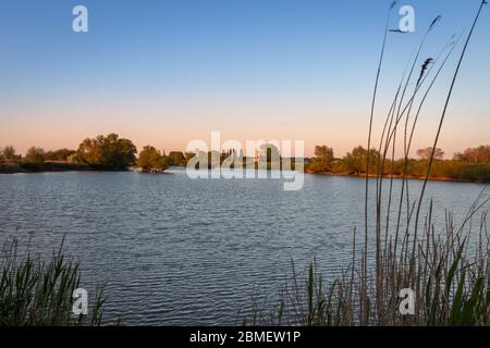 La plaine d'inondation près de la rivière pluie 'l'IJssel' dans la province d'Overijssel près du village de Wijhe Banque D'Images