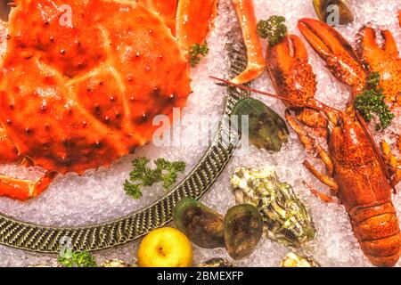 Beaucoup de sortes de fruits de mer, servis sur glace pilée Banque D'Images