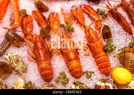 Beaucoup de sortes de fruits de mer, servis sur glace pilée Banque D'Images