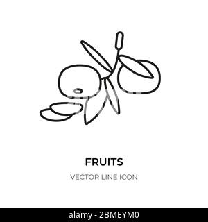 Icône de ligne noire de fruits. Vide simple agrumes signe.logo de conception fermer mandarin avec des feuilles comme symbole de nourriture saine. Pictogramme de contour orange mûr, tranche de vitamine. Isolé sur une illustration vectorielle blanche Illustration de Vecteur