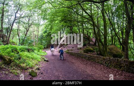 Cromford, Angleterre, Royaume-Uni - 17 mai 2011 : un cavalier et cycliste se déplacent dans les bois sur un chemin de fer désutilisé, faisant partie de la Pennine Bridleway, High Peak Banque D'Images