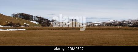 Des moutons se broutent dans le fond de la vallée de Wensleydale à Hawes, sous les collines des Yorkshire Dales. Banque D'Images