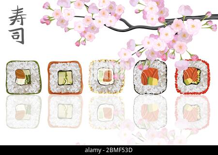 Rouleau de Maki avec du saumon et d'avocat de délicieux aliments japonais avec sushi roll. Illustration de Vecteur