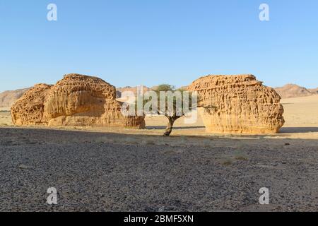 Formations rocheuses dans la vallée historique d'Al-Ula, Arabie Saoudite Banque D'Images