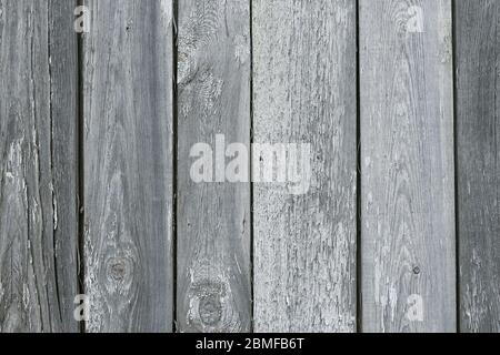 Clôture en bois fissurée, texture de planche grise, arrière-plan en bois. Vieux parquet, surface de bureau rugueuse. Panneaux de grunge naturels avec clous, porte abîmé Banque D'Images