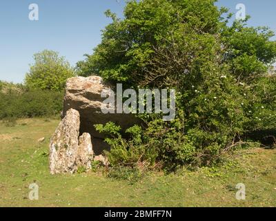 La chambre d'enterrement néolithique de Pant y Saer est située sur un plateau calcaire avec trois dalles verticales soutenant une pierre à cappone de l'île Benllech d'Anglesey, au nord du pays de Galles Banque D'Images