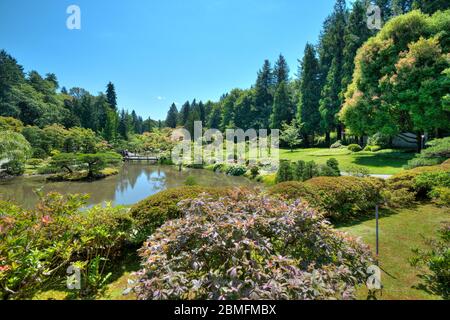 Jardin japonais à l'arboretum de Washington Park, Seattle, État de Washington, États-Unis Banque D'Images