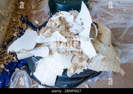 Papier peint retiré des murs farci dans un sac poubelle dans le cadre de l'enlèvement du papier peint pour redécorer. Banque D'Images