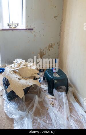 Papier peint retiré des murs farci dans un sac poubelle dans le cadre de l'enlèvement du papier peint pour redécorer. Banque D'Images