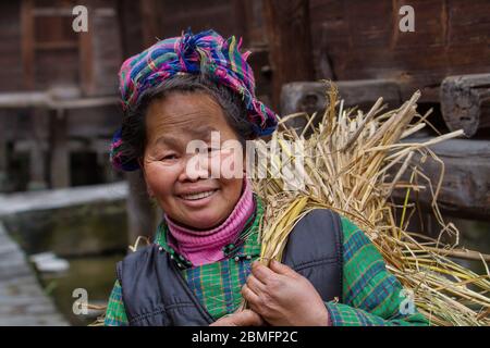 Une femme âgée avec sa charge de foin. Elle est de la jupe courte de Datang Miao minorités. Région de Kaili, province de Guizhou, Chine Banque D'Images