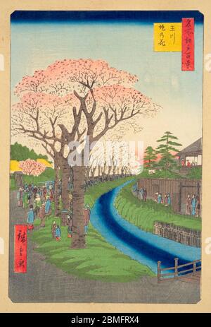 [ 1850 Japon - Blossom de cerisiers à Shinjuku ] — personnes appréciant la fleur de cerisiers le long de l'aqueduc de Tamagawa (玉川上水, Tamagawa Jolui) à Shinjuku, juste à l'extérieur d'Edo (actuel Tokyo), 1856 (Ansei 3). Cet emplacement est juste à côté de la sortie sud de la gare de Shinjuku se trouve aujourd'hui. Cette impression en bois est l'image 42 dans une centaine de vues célèbres d'Edo (名所江戸百景, Meisho Edo Hyakkei), une série créée par l'artiste ukiyoe Utagawa Hiroshige (歌川広重, 1797–1858). Titre: Cerisiers en fleurs sur les rives de la rivière Tama (玉川堤の花, Tamagawa tsutsumi no hana) impression Ukiyoe vintage du XIXe siècle. Banque D'Images