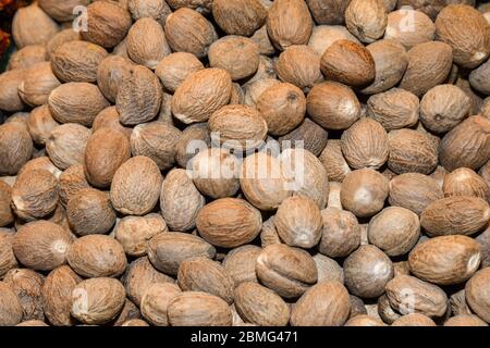 Tas de noix de muscade sèches sur le marché ouvert. Fresh mace et Nutmeg avec mise au point sélective Banque D'Images