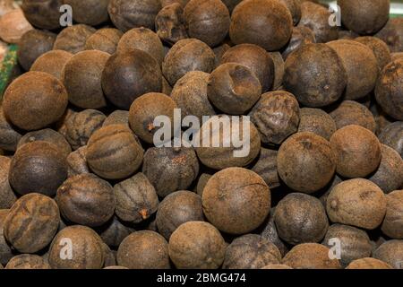 Tas de noix de muscade sèches sur le marché ouvert. Fresh mace et Nutmeg avec mise au point sélective Banque D'Images